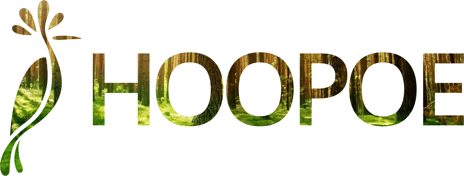 HOOPOE MEDIA Front End eCommerce services